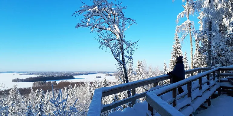 Rapolanharjun näköalatasanne, talvikuva