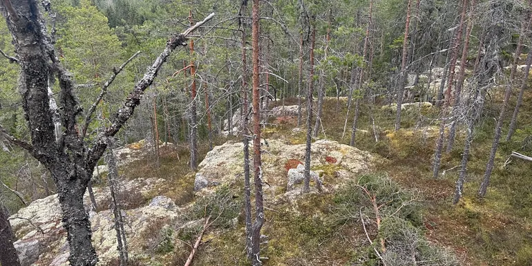 Näkymä Alkkianvuorelta pohjoiseen