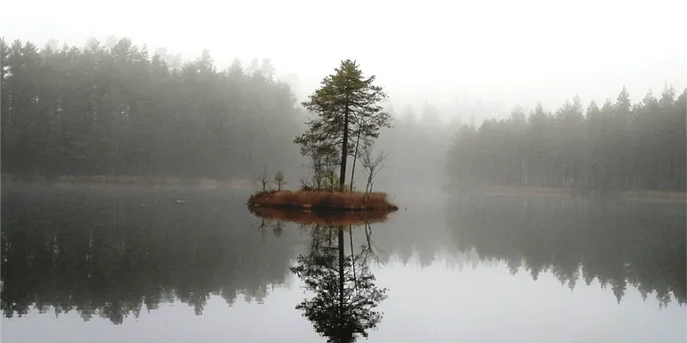 Island in Pihtilampi