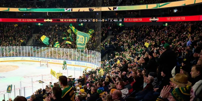 From Stadium to Arena: Experience the Thrill of Live Sports