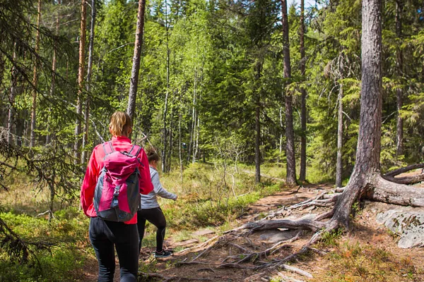 Vuoreksen koukkujärven luontopolku