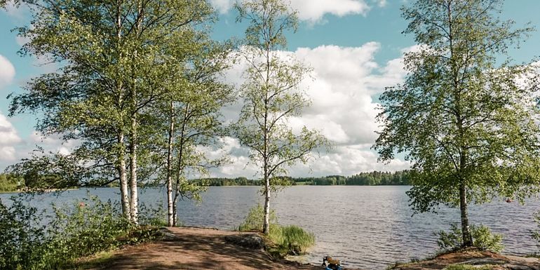 Mutalan uimaranta Ylöjärvellä, Mutala beach