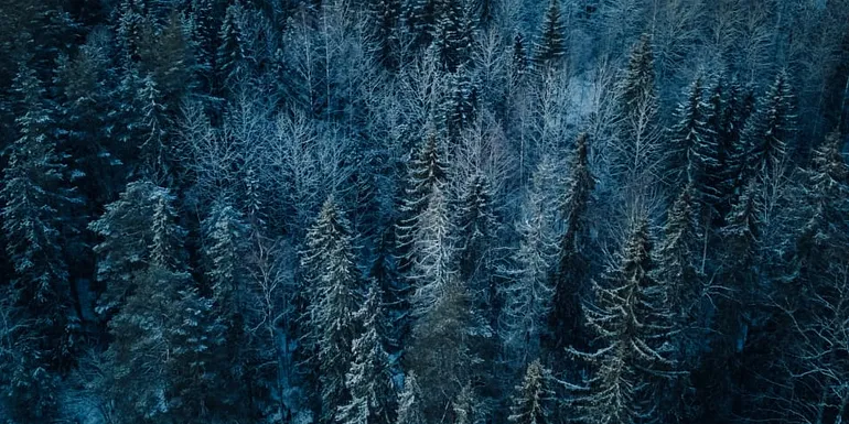 Arajärvi area offers tranquility and silence in nature