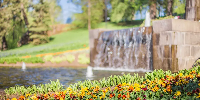 Waterfall and flowers.