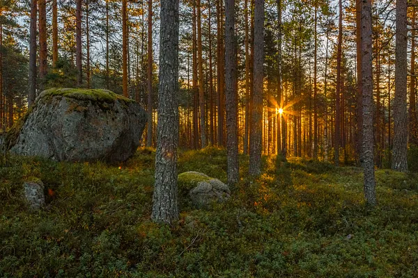 Kaarinanpolku Hiking Trail