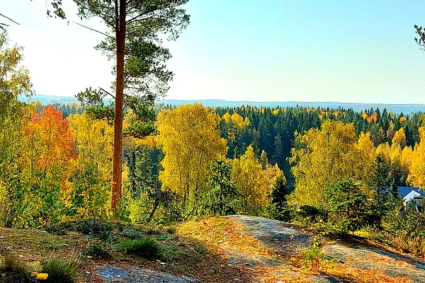 Elämyspuutarha Pölkinvuori