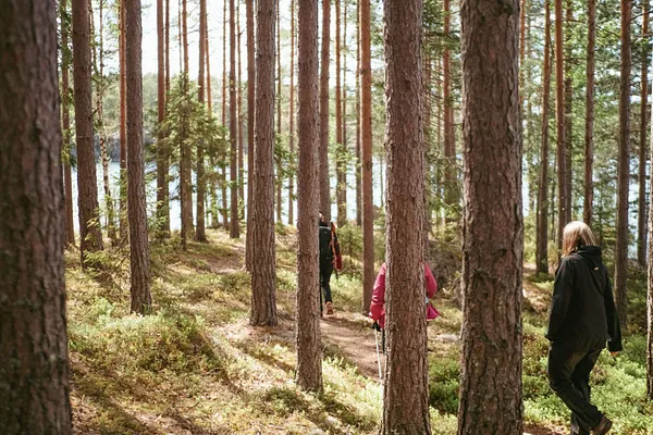 Kesäpäivä Kangasalla patikointi - Harjulta harjulle