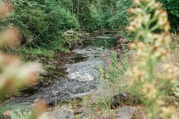 Kuttuniska Trail