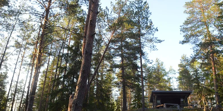 The lean-to shelter (Rusun laavu) is a campfire place with a woodshed and an outdoor toilet.