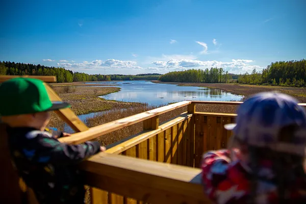 Vallonjärven luontopolku ja lintutorni