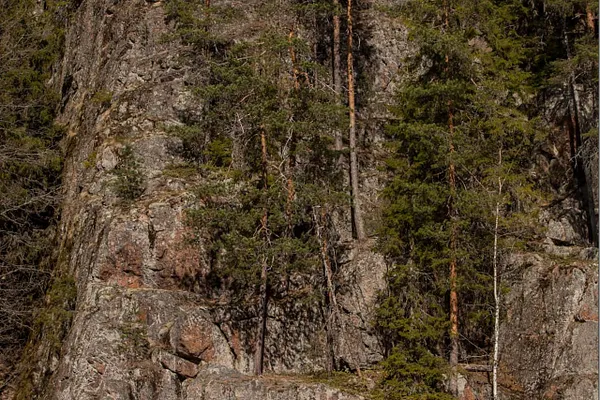 Canoe Trip in the Stunning Landscapes of Helvetinjärvi near Tampere