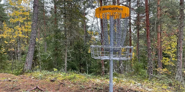 Frisbeegolfradalla oleva kori, johon kiekkoja heitetään