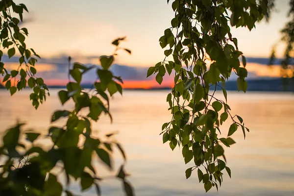 Suolijärvi Beach