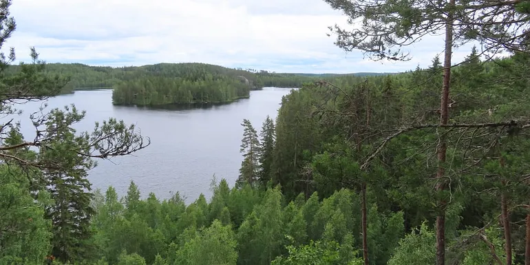 Näkymä Linnavuorelta järvelle