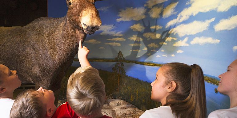 Lapset katselevat täytettyä hirveä Luonnontieteellisessä museossa.