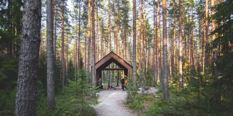 Kintulammin nuotiopaikka metsässä