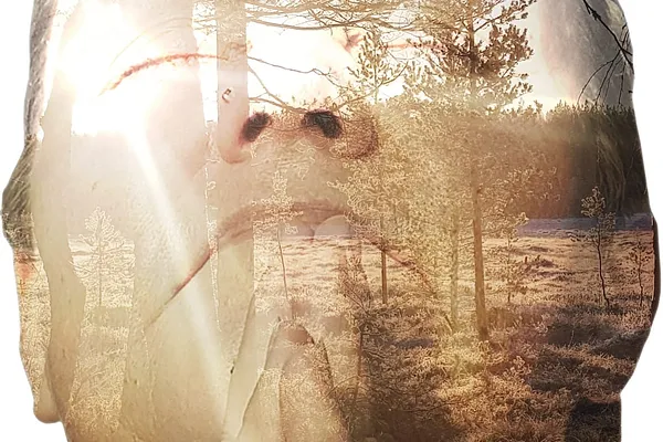 Haukkamaa Adventures – Relaxing Day with a Mindforest Trek