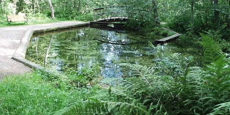 The Runeberg spring is a small idyllic relaxation area.