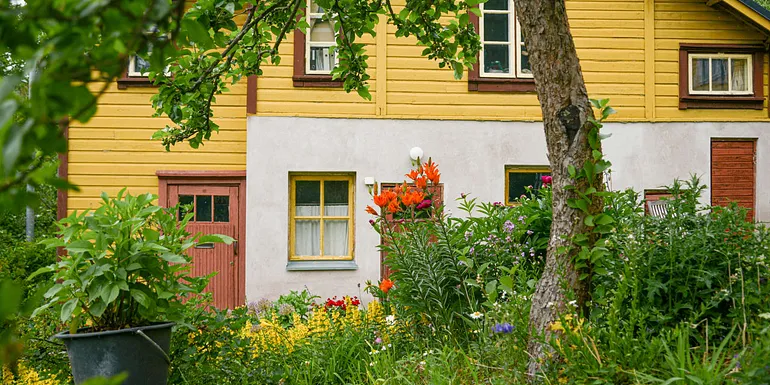 Pispankadun vanha sauna ja perinteinen puutarha loppukesän kukinnassa