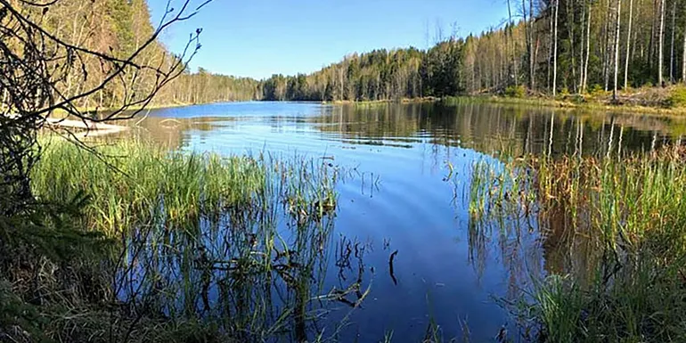 Suodenniemen Kaiturin retkeilyalue