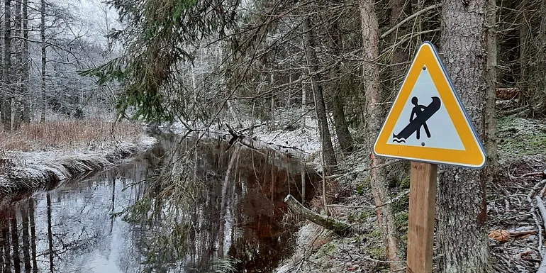 Piece of lake and forest