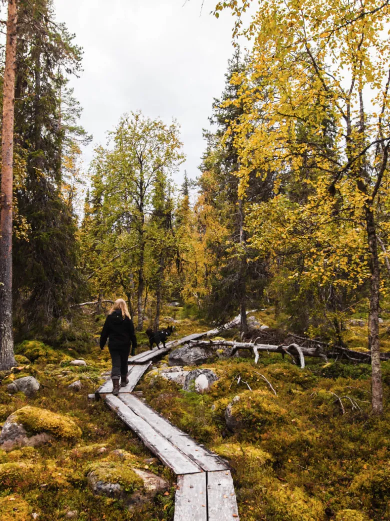 Herkkä Luonto