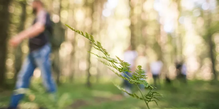 Walking in nature.