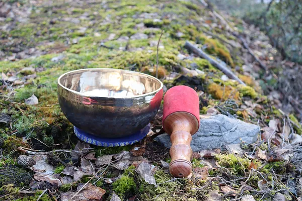 Forest Bathing and Breather in a Tentsile Camp