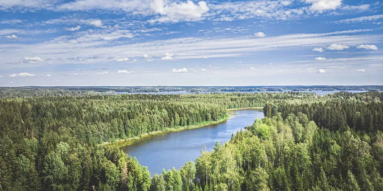 Drone photo from nature reserve.