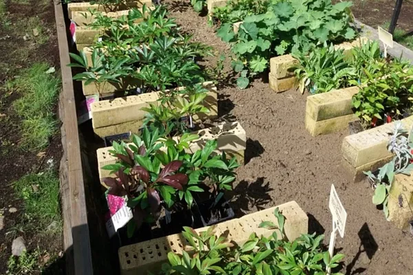 Pölkinvuori Nursery and Garden Store