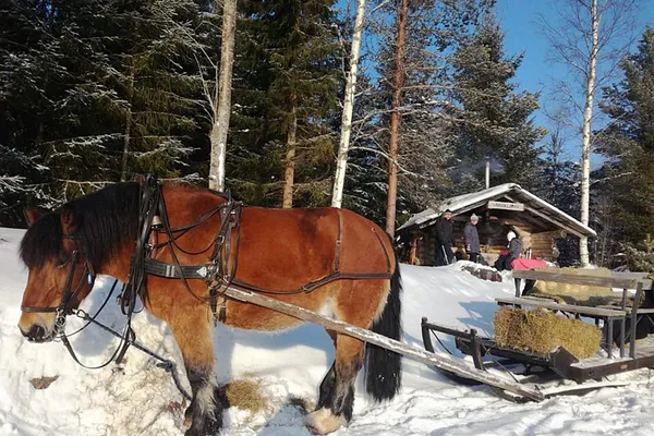 Maalaisromanttinen hevoskärry-/rekiretki laavulle