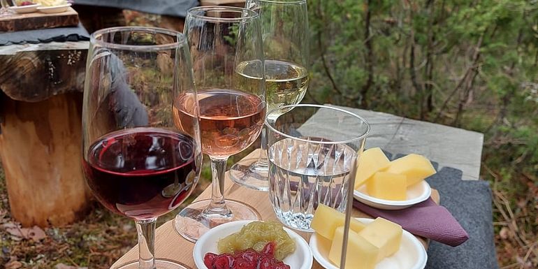 Wine tasting in the woods