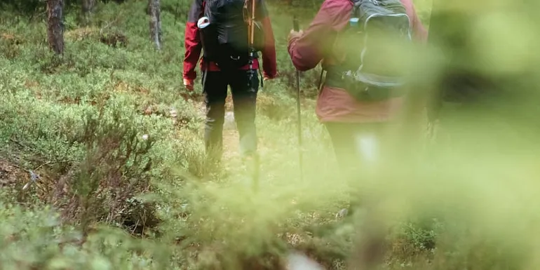 Patikointia syksyisessä luonnossa