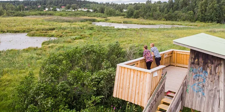 People observing birds from the tower.