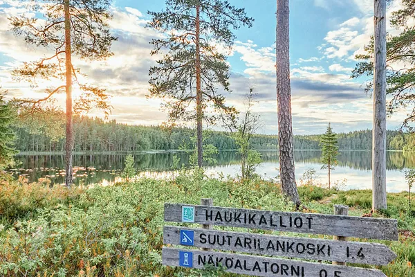 Riuttaskorpi Forest