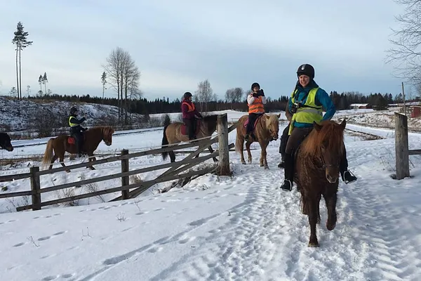 Trail Riding and Riding Lessons