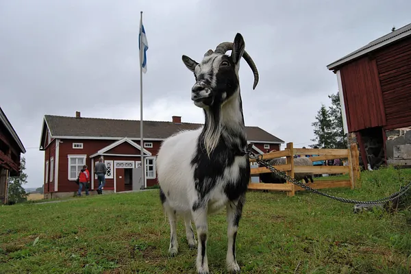 Keikyän Kotiseutumuseo