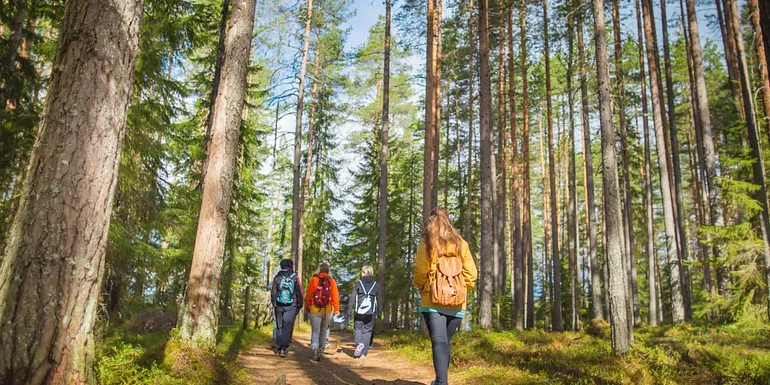 People walking in forest.