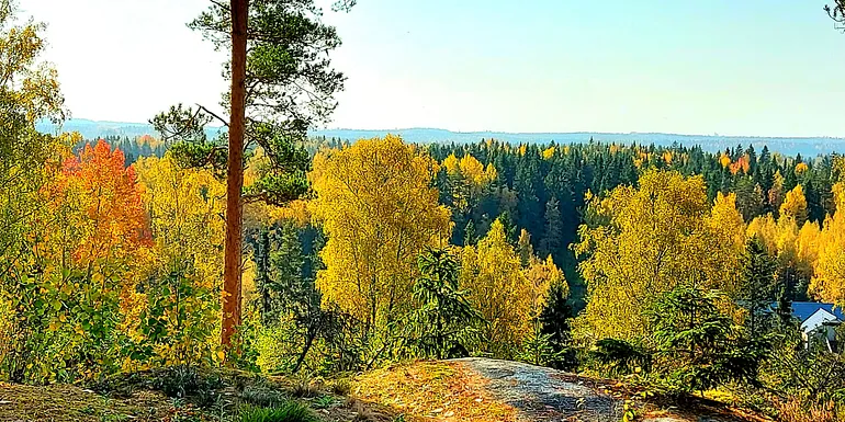 The highlight of the park is the view from Pölkinvuori's peak.