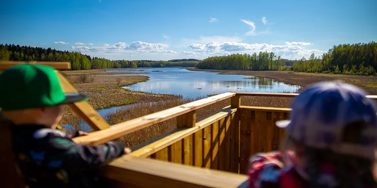 Lapset ja koira Vallonjärven lintutornilla