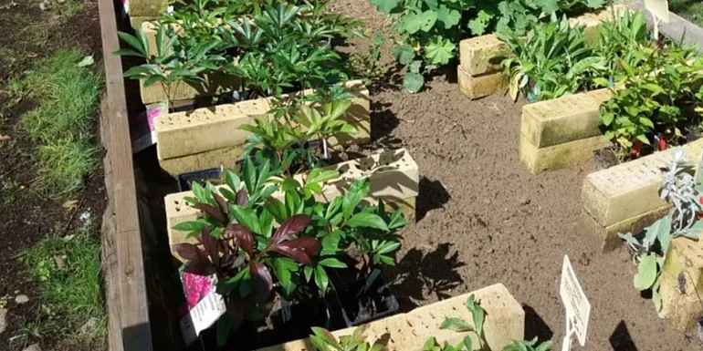 There is almost 400 different varieties of perennials in the Garden Shop.