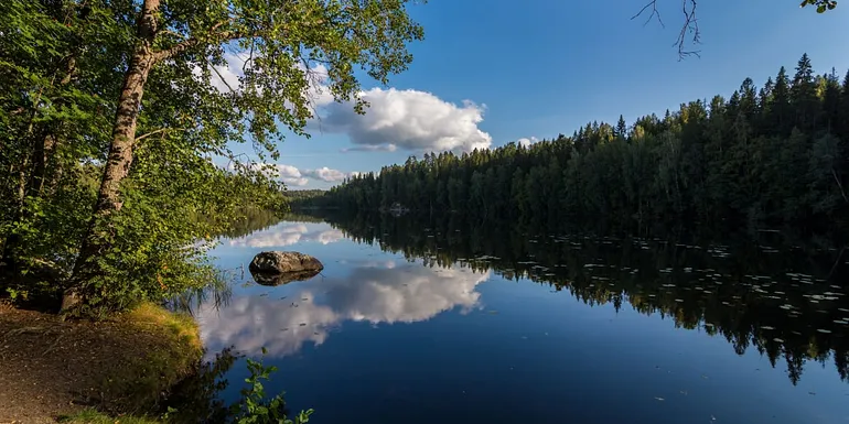 Suolijärvi lake in summer.
