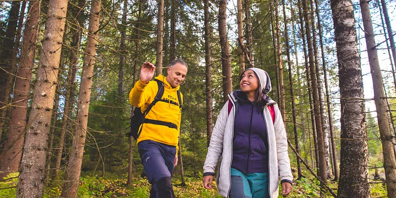 People hiking in the forest.