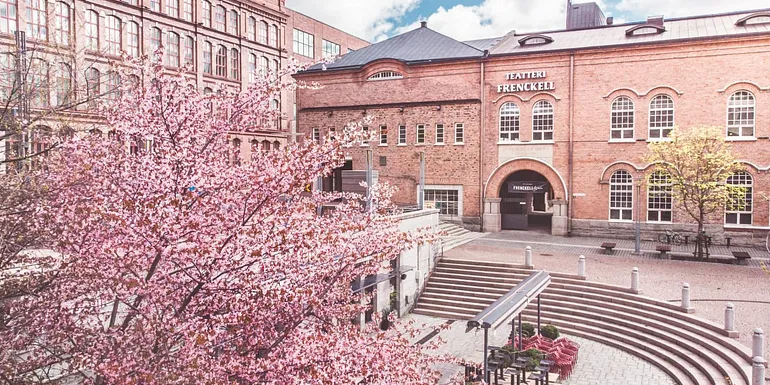 Cherry tree in blossom at the Frenckell square.