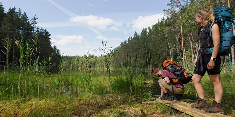 Kaksi retkeilijää kesäisissä maisemissa lammen rannalla Isojärven kansallispuistossa. Kuva: Sannamari Ratilainen.