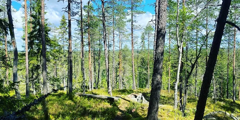 Alkkianvuori hilltop.