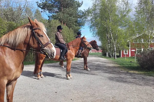 Ilolan ratsastuskoulu