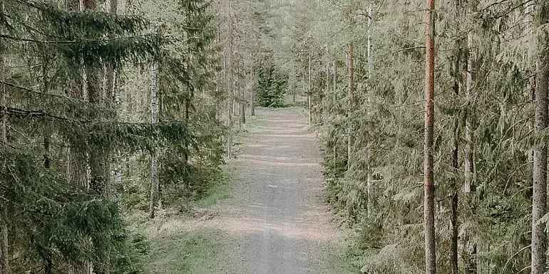 A runner on the Ylöjärvenharju esker