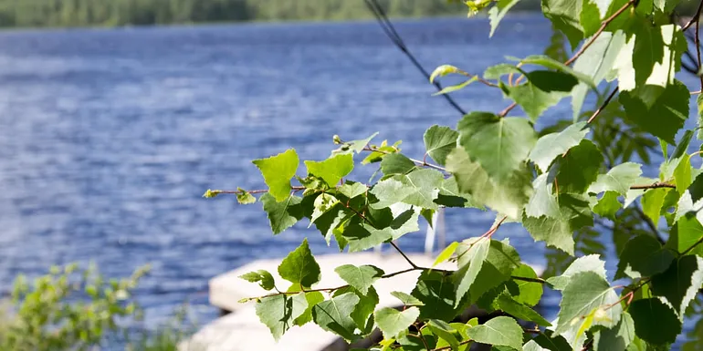 Finnish Nature