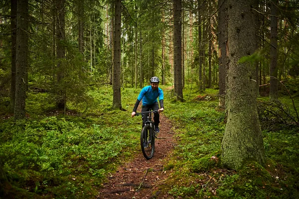 Hakavuoren luontopolku